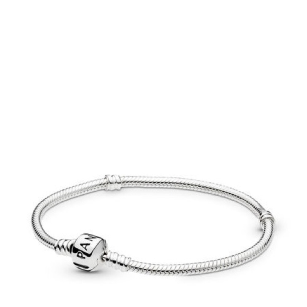 Sterling Silver Snake Chain Bracelet